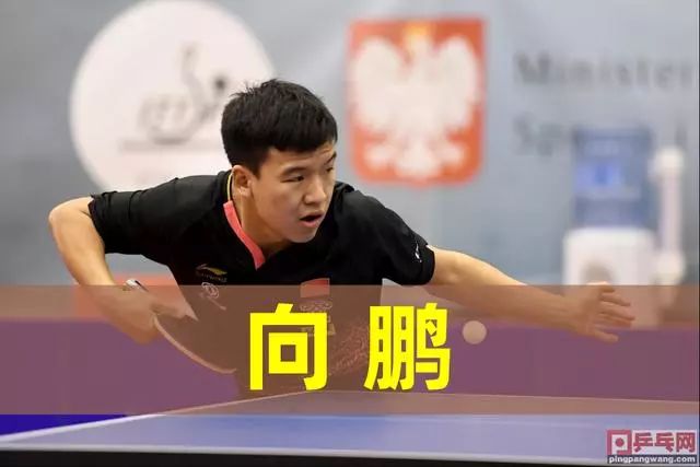 的更强表现 的更强表现